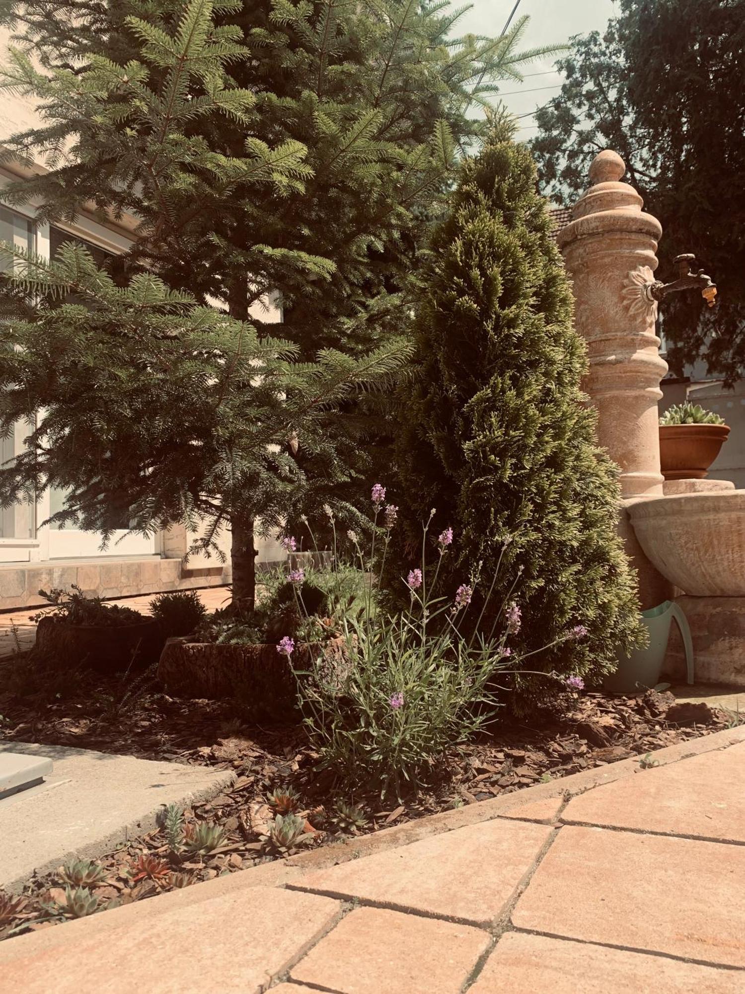 La Casa Tamaris Appartamento